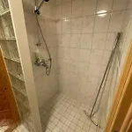 Palkisporo 1a