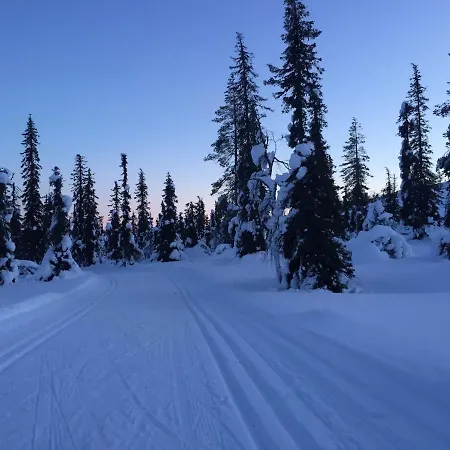 Palkisporo 1a 度假居 *