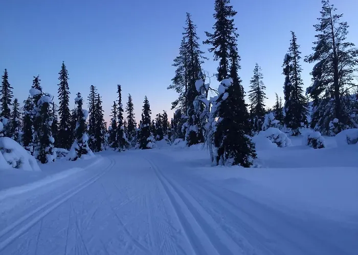 Palkisporo 1a Holiday home *